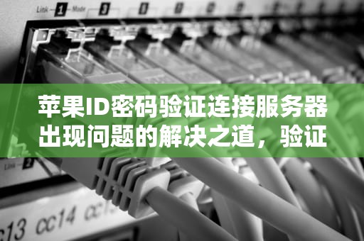 苹果ID密码验证连接服务器出现问题的解决之道，验证苹果id密码连接服务器出现问题怎么办