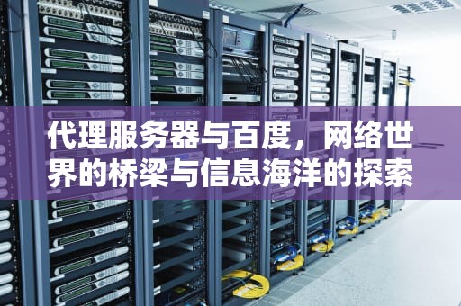 代理服务器与百度，网络世界的桥梁与信息海洋的探索，代理服务器有问题吗百度百科
