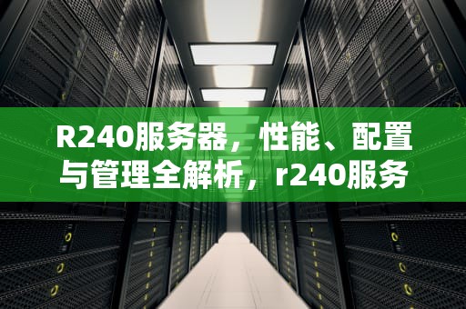 R240服务器，性能、配置与管理全解析，r240服务器安装2012教程