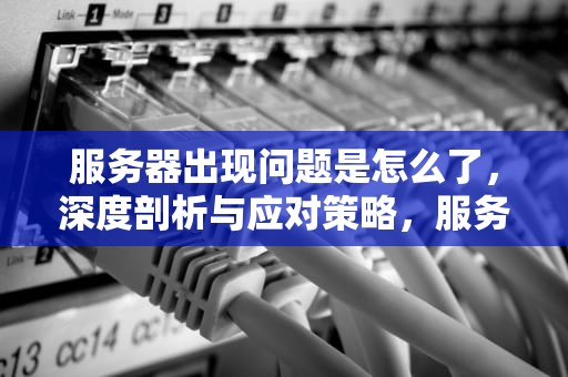 服务器出现问题是怎么了，深度剖析与应对策略，服务器出现问题是怎么了回事