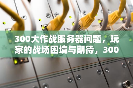 300大作战服务器问题，玩家的战场困境与期待，300大作战服务器名称