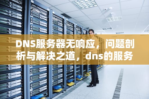 DNS服务器无响应，问题剖析与解决之道，dns的服务器未响应怎么办