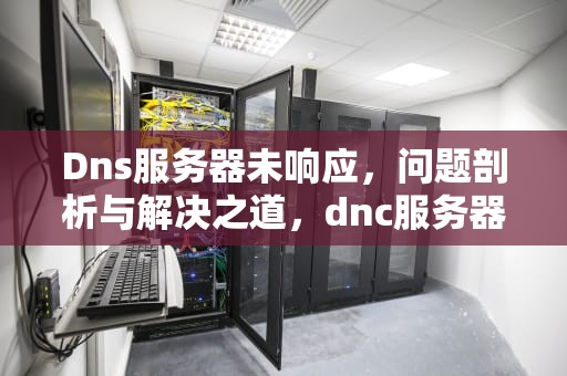 Dns服务器未响应，问题剖析与解决之道，dnc服务器未响应