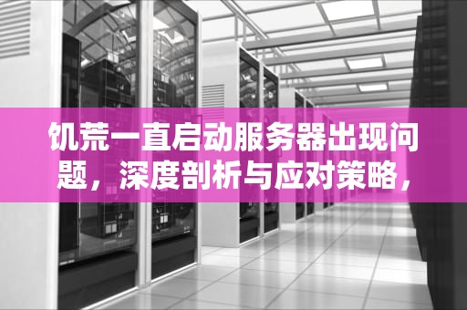 饥荒一直启动服务器出现问题，深度剖析与应对策略，饥荒一直启动服务器出现问题怎么办