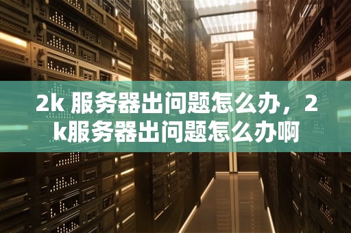 2k 服务器出问题怎么办，2k服务器出问题怎么办啊