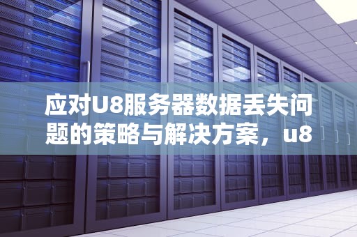 应对U8服务器数据丢失问题的策略与解决方案，u8服务器出现异常