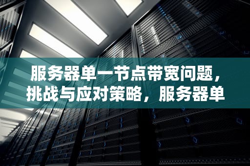 服务器单一节点带宽问题，挑战与应对策略，服务器单一节点带宽问题怎么解决
