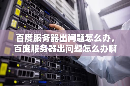 百度服务器出问题怎么办，百度服务器出问题怎么办啊