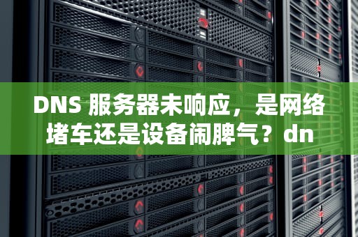 DNS 服务器未响应，是网络堵车还是设备闹脾气？dns.服务器未响应