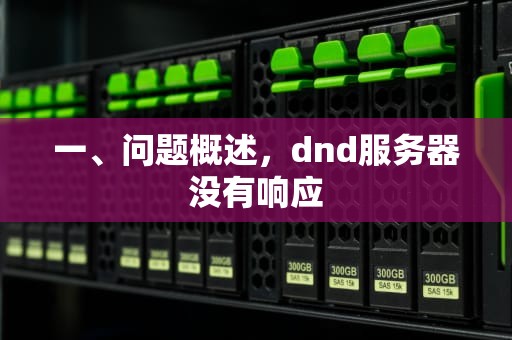 一、问题概述，dnd服务器没有响应