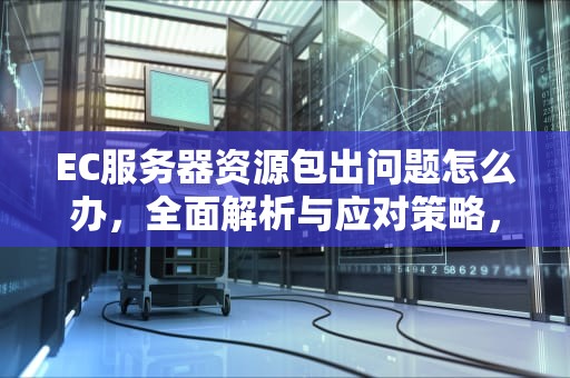 EC服务器资源包出问题怎么办，全面解析与应对策略，ec服务器资源包出问题怎么办解决