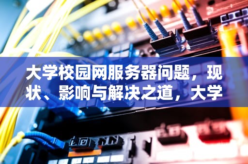 大学校园网服务器问题，现状、影响与解决之道，大学校园网服务器问题怎么解决