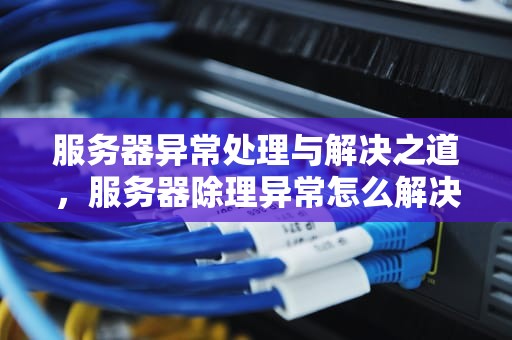 服务器异常处理与解决之道，服务器除理异常怎么解决问题呢视频