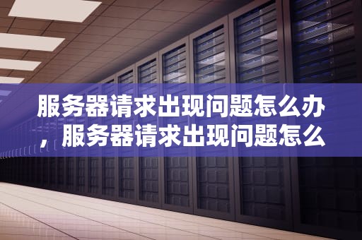 服务器请求出现问题怎么办，服务器请求出现问题怎么办啊