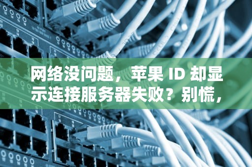 网络没问题，苹果 ID 却显示连接服务器失败？别慌，这里有超全解决办法！，网络没问题 苹果id显示连接服务器失败怎么回事