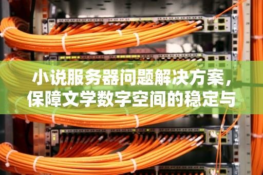 小说服务器问题解决方案，保障文学数字空间的稳定与流畅，小说服务器问题解决方案