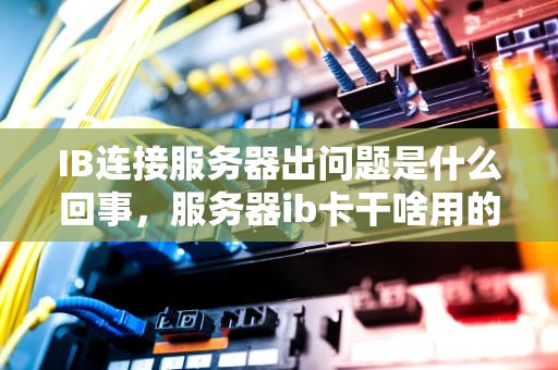 IB连接服务器出问题是什么回事，服务器ib卡干啥用的