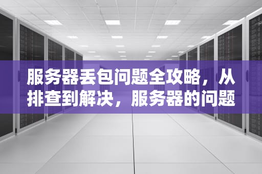 服务器丢包问题全攻略，从排查到解决，服务器的问题导致丢包怎么办啊
