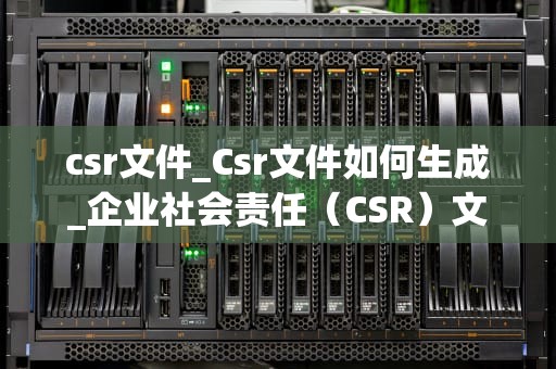 csr文件_Csr文件如何生成_企业社会责任（CSR）文件的编写与实施