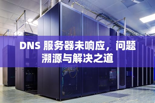 DNS 服务器未响应，问题溯源与解决之道
