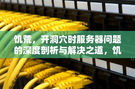 饥荒，开洞穴时服务器问题的深度剖析与解决之道，饥荒开地洞就卡
