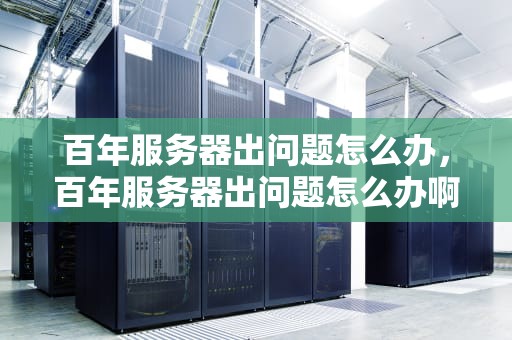 百年服务器出问题怎么办，百年服务器出问题怎么办啊