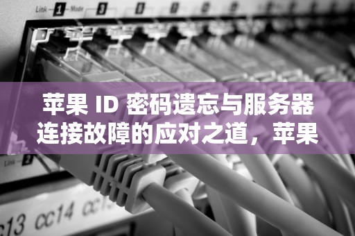 苹果 ID 密码遗忘与服务器连接故障的应对之道，苹果id密码忘了连接服务器出现问题怎么办