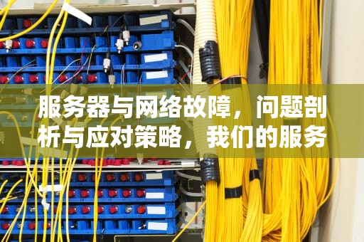 服务器与网络故障，问题剖析与应对策略，我们的服务器或者网络可能有问题英文
