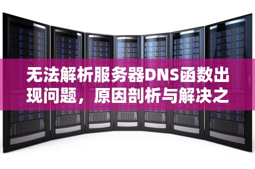 无法解析服务器DNS函数出现问题，原因剖析与解决之道，无法解析服务器dns函数出现问题怎么办