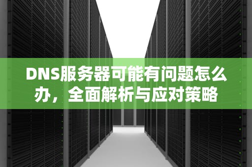DNS服务器可能有问题怎么办，全面解析与应对策略