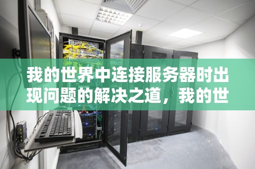 我的世界中连接服务器时出现问题的解决之道，我的世界连接服务器时出现问题怎么办