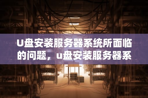 U盘安装服务器系统所面临的问题，u盘安装服务器系统所面临的问题有哪些