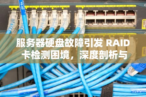 服务器硬盘故障引发 RAID 卡检测困境，深度剖析与应对策略，服务器硬盘本身问题导致raid卡检测不到怎么办