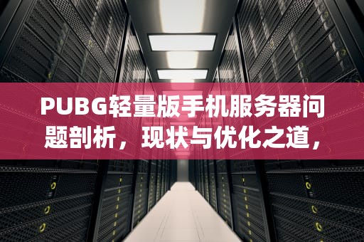 PUBG轻量版手机服务器问题剖析，现状与优化之道，pubg轻量版服务器繁忙怎么办