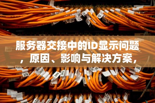 服务器交接中的ID显示问题，原因、影响与解决方案，id显示交接到服务器时出现问题怎么办