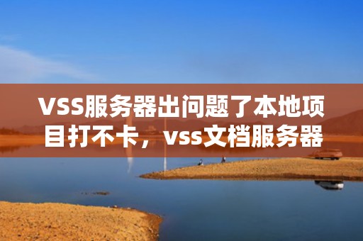 VSS服务器出问题了本地项目打不卡，vss文档服务器