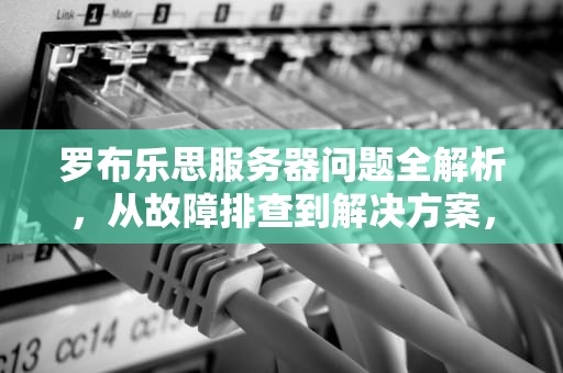 罗布乐思服务器问题全解析，从故障排查到解决方案，罗布乐思服务器进不去
