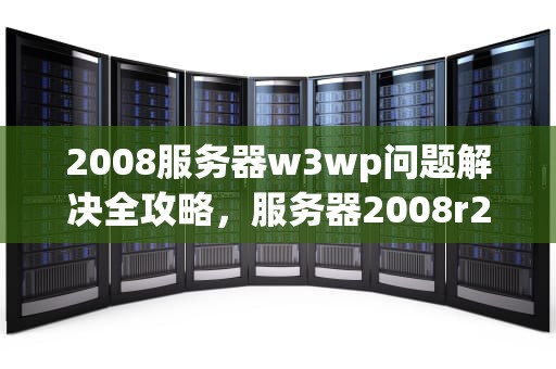 2008服务器w3wp问题解决全攻略，服务器2008r2
