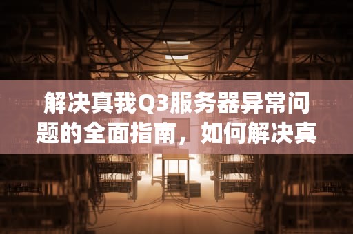 解决真我Q3服务器异常问题的全面指南，如何解决真我q3服务器异常问题