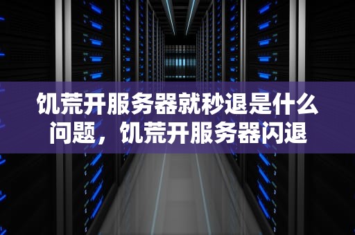 饥荒开服务器就秒退是什么问题，饥荒开服务器闪退