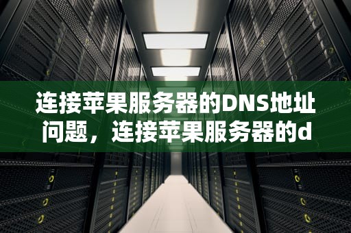 连接苹果服务器的DNS地址问题，连接苹果服务器的dns地址是什么问题啊