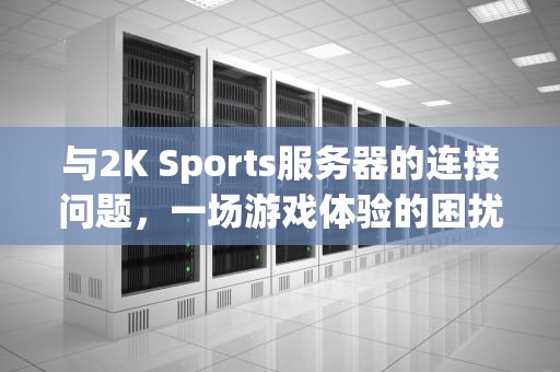 与2K Sports服务器的连接问题，一场游戏体验的困扰与解决之道，与2k服务器连接出现问题