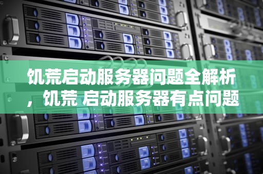 饥荒启动服务器问题全解析，饥荒 启动服务器有点问题