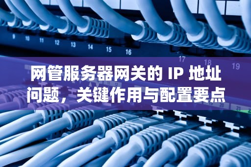 网管服务器网关的 IP 地址问题，关键作用与配置要点，网管服务器网关的ip地址是什么问题啊
