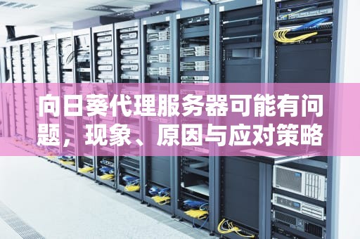 向日葵代理服务器可能有问题，现象、原因与应对策略全解析，向日葵 代理服务器