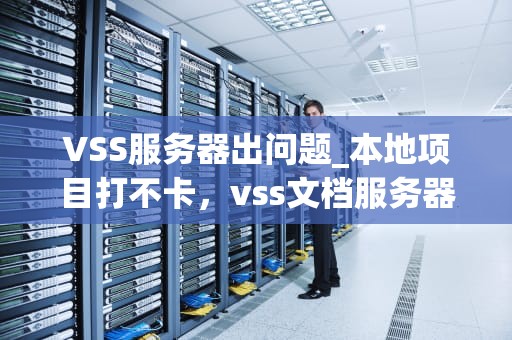 VSS服务器出问题_本地项目打不卡，vss文档服务器