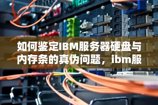 如何鉴定IBM服务器硬盘与内存条的真伪问题，ibm服务器内存条在哪