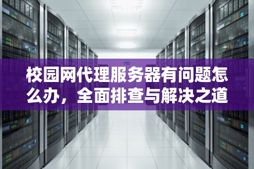 校园网代理服务器有问题怎么办，全面排查与解决之道，校园网代理服务器有问题怎么办啊
