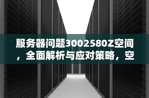 服务器问题3002580Z空间，全面解析与应对策略，空间服务器错误
