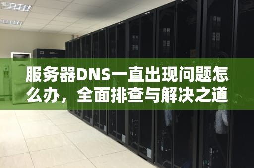 服务器DNS一直出现问题怎么办，全面排查与解决之道，服务器dns一直出现问题怎么办解决